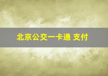 北京公交一卡通 支付